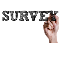 Elementary Student Survey
